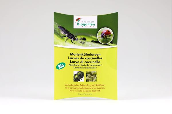 Nützlinge, Marienkäferlarven - Abrufkarte gegen Blattläuse 905163